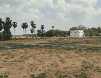 Project Images