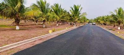 Project Image of 1350.0 - 9000.0 Sq.ft Residential Plot Plot for buy in SBD Royal Vihar