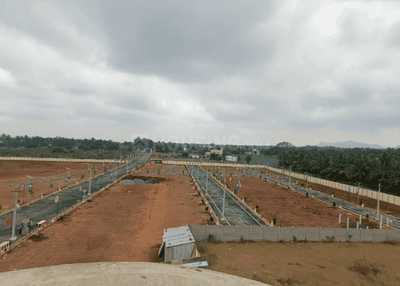 Project Images