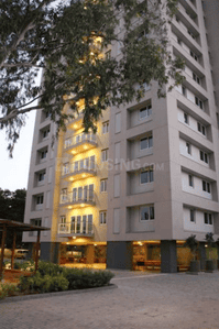 Project Image of 1711.46 - 2142.02 Sq.ft 3 BHK Apartment for buy in Amaya 612 Elevate