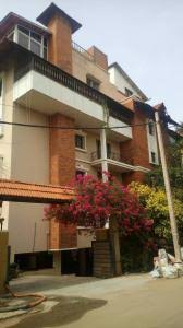 Pyramid Celestia Elevation 1