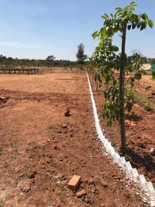 Project Image of 5990.0 - 16335.0 Sq.ft Residential Plot Plot for buy in Adithya DMR Farms