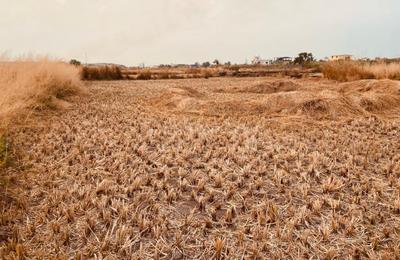 Project Image of 1000.0 - 10000.0 Sq.ft Residential Plot Plot for buy in Cityprop Plot In Vindhane