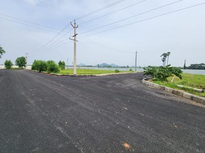 Project Image of 1251.74 - 5248.38 Sq.ft Residential Plot Plot for buy in BBG True Capital