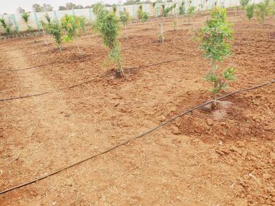 Project Image of 1300.0 - 2500.0 Sq.ft Agricultural Land Agricultural Land for buy in Green Nature Farms