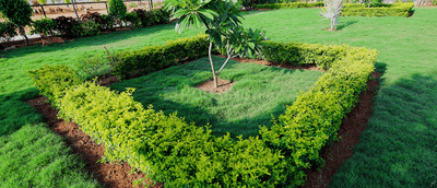 Project Image of 780.81 - 2297.45 Sq.ft Residential Plot Plot for buy in Paramount Green Avenues