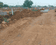 Kusum Kanak Green Park II Plot 1