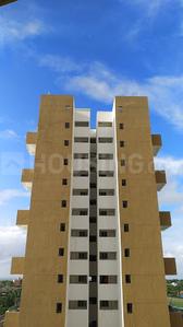 Gallery Cover Pic of Pristine City BEF