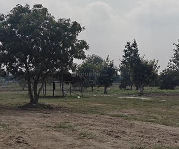 Project Image of 3595.15 - 48599.06 Sq.ft Residential Plot Plot for buy in Ridge Kshetra