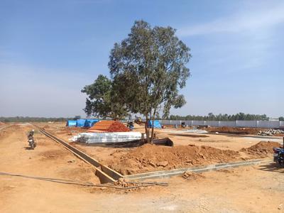 VSL Green Age Main Other 1