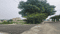 Sameera MSB 8 Internal Roads & Footpaths 1