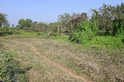 Project Image of 720.0 - 2160.0 Sq.ft Residential Plot Plot for buy in Twinrock Sharnabhumi