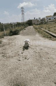 Project Images