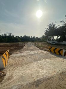 Project Images