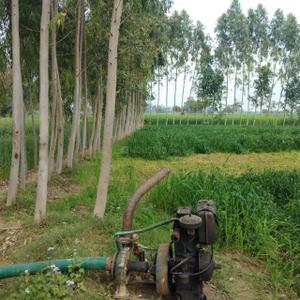 Project Image of 450.0 - 10350.0 Sq.ft Residential Plot Plot for buy in Shubham Jewar City