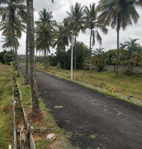 Project Image of 1200.0 - 2000.0 Sq.ft Residential Plot Plot for buy in Prutvi Sri Sai Royal Meadows