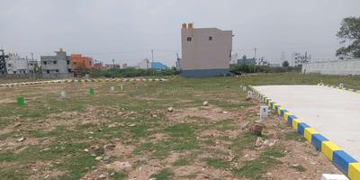 Project Images