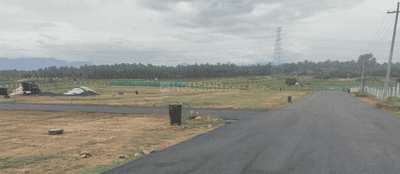 Project Images