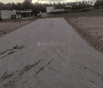 Project Images