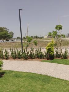 Project Image of 1000 Sq.ft Residential Plot / Land for sale in Balya Kheda for Rs. 5000000