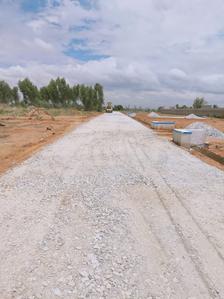 Project Image of 1200.0 - 2400.0 Sq.ft Residential Plot Plot for buy in Ambika North Street