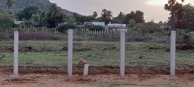 Project Image of 900.0 - 1200.0 Sq.ft Residential Plot Plot for buy in MS City Plots