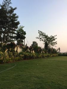Project Image of 939.0 - 1252.0 Sq.ft 2 BHK Apartment for buy in DLF Maiden Heights At My Town