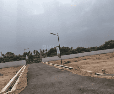 Project Images