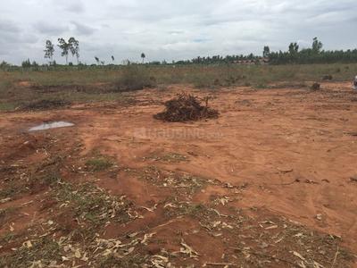 Project Image of 600.0 - 4000.0 Sq.ft Residential Plot Plot for buy in M and M Krishna Greens Eastwind