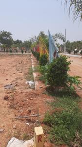 Project Image of 1530.0 - 3123.0 Sq.ft Residential Plot Plot for buy in Aduri RK Ryan