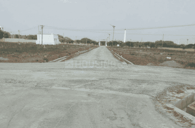 Project Images