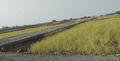 Project Images