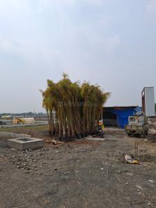 Project Image of 1259.0 - 2530.0 Sq.ft Residential Plot Plot for buy in Anandam Elite Phase V