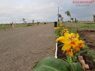 Project Image of 1331.0 - 3199.0 Sq.ft Residential Plot Plot for buy in Castle Dream Gulmohar Grande NA Plots