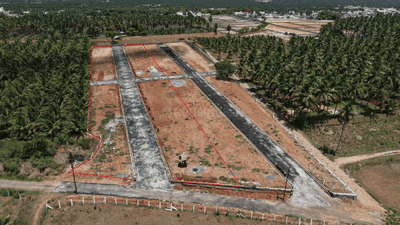 Project Images