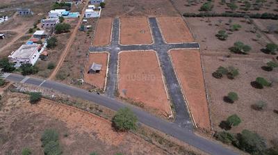 Project Images
