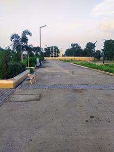 Project Image of 599.66 - 1349.79 Sq.ft Residential Plot Plot for buy in Shri Kataria City Colony B Block Phase 1