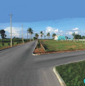 Project Image of 1180.0 - 5000.0 Sq.ft Residential Plot Plot for buy in Enrich Akshaya Meadows