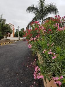 Project Image of 1503.0 - 4800.0 Sq.ft Residential Plot Plot for buy in Vensha Asian Township