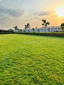 Project Image of 1000.0 - 1250.0 Sq.ft Residential Plot Plot for buy in Shri Krishna Premium Corridor