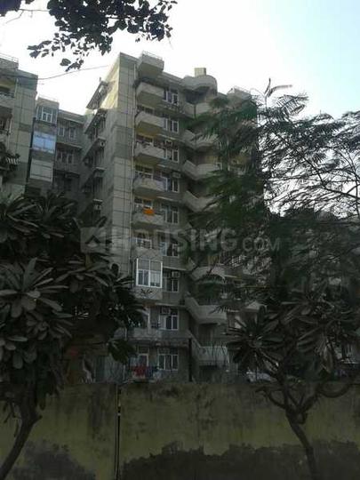 Stellar Greens - Image 4