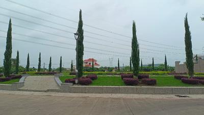 IAP Forest Trail Phase 1 Landscape Garden and Tree Planting 3