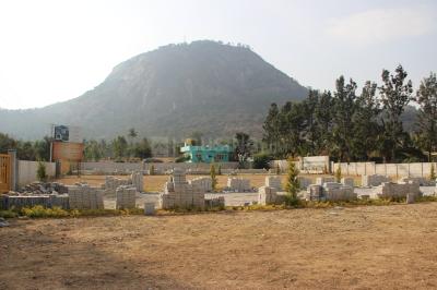 Project Image of 1200.0 - 1500.0 Sq.ft Residential Plot Plot for buy in Apranje Aura
