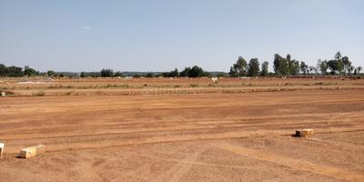 Project Image of 1200.0 - 4800.0 Sq.ft Residential Plot Plot for buy in Shreyas Sunrise Block A
