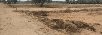 True Pride Plot 1