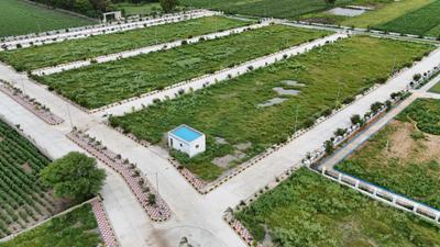 Project Image of 945.0 - 2880.0 Sq.ft Residential Plot Plot for buy in Akshita Inspiring Edge