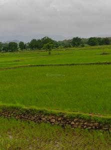 Project Image of 1000.0 - 10000.0 Sq.ft Residential Plot Plot for buy in Farm N Land Mangaon