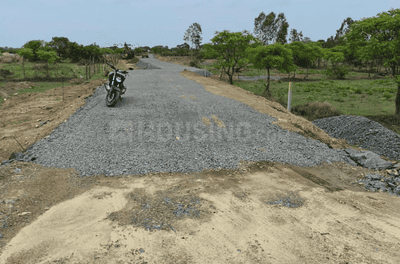 Project Images