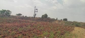 Project Image of 1000.0 - 10000.0 Sq.ft Residential Plot Plot for buy in Mahamumbai Plots In Belondekhar