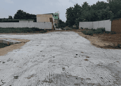 Project Images